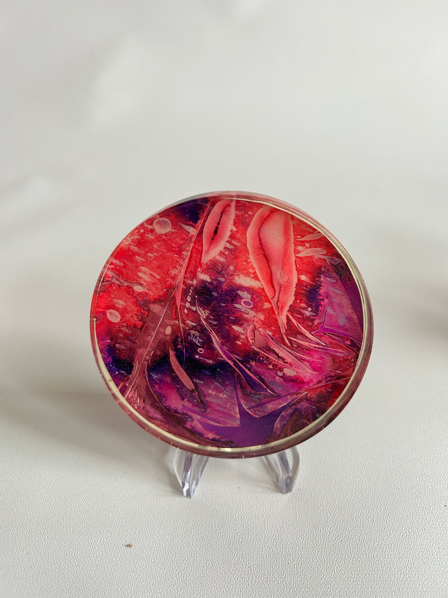 CG Petri Disc w/ Stand, Resin