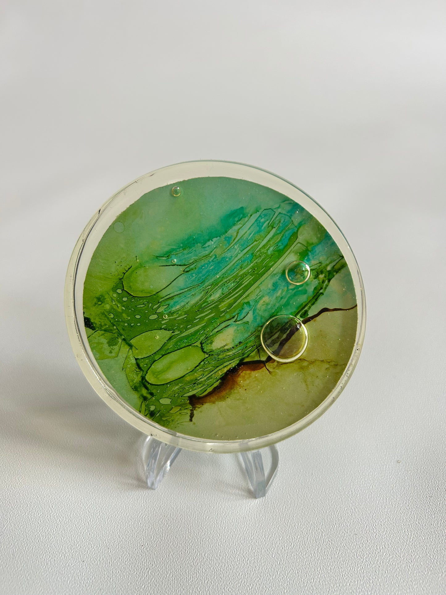CG Petri Disc w/ Stand, Resin
