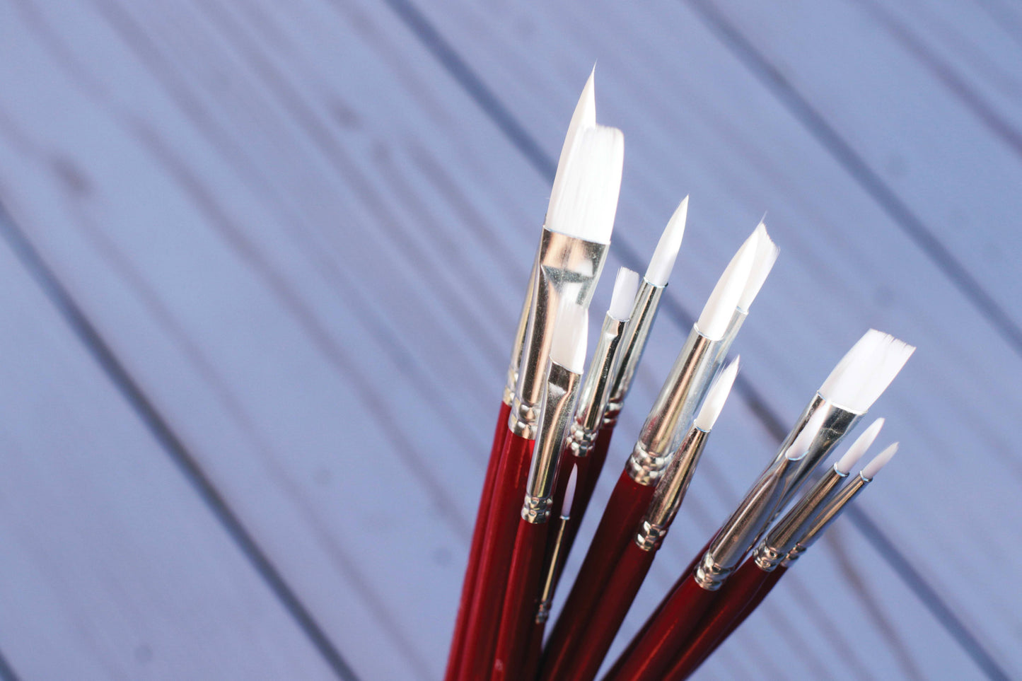 Hello, Artist! 12PC Short Handle White Taklon Variety Pack