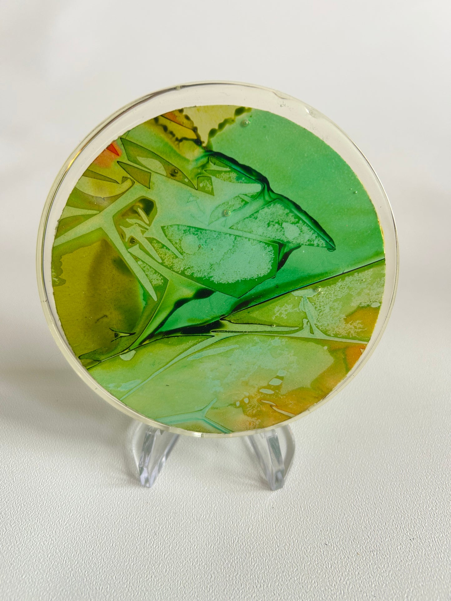 CG Petri Disc w/ Stand, Resin