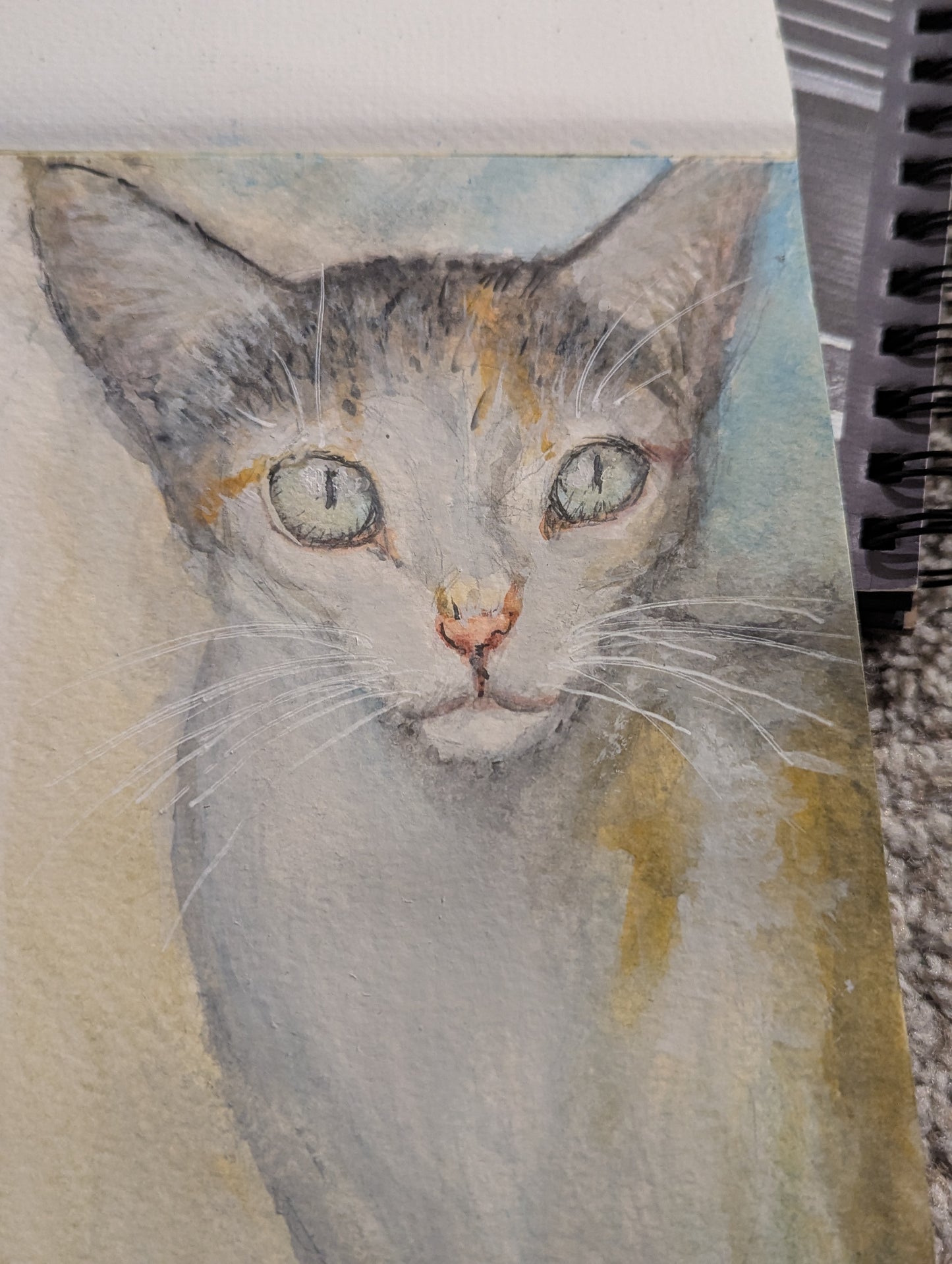 Pet Portrait Class