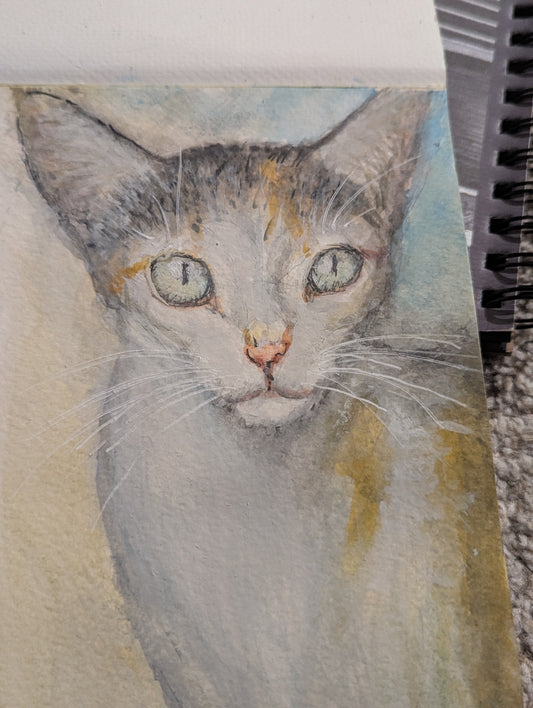 Pet Portrait Class